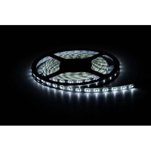 FITA LED NUZE 6000K SEM FONTE ROLO 5 METROS